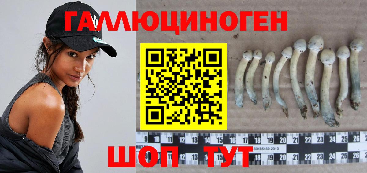 Псилоцибиновые грибы MAGIC MUSHROOMS Гай