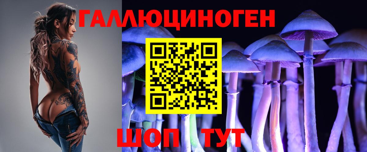 Гай  Галлюциногенные грибы Cubensis  Вход с VPN 
